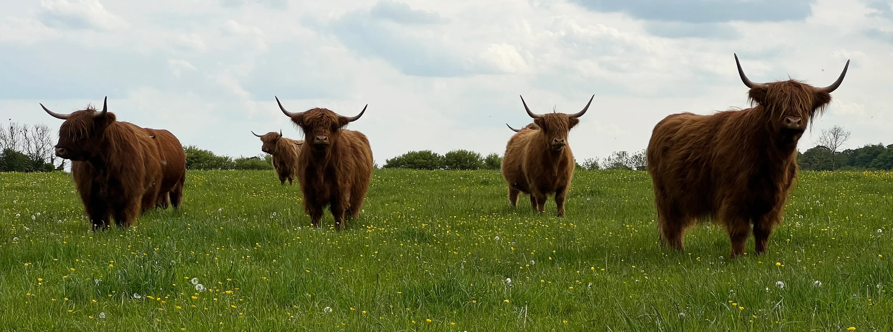 Welcome to Our Store